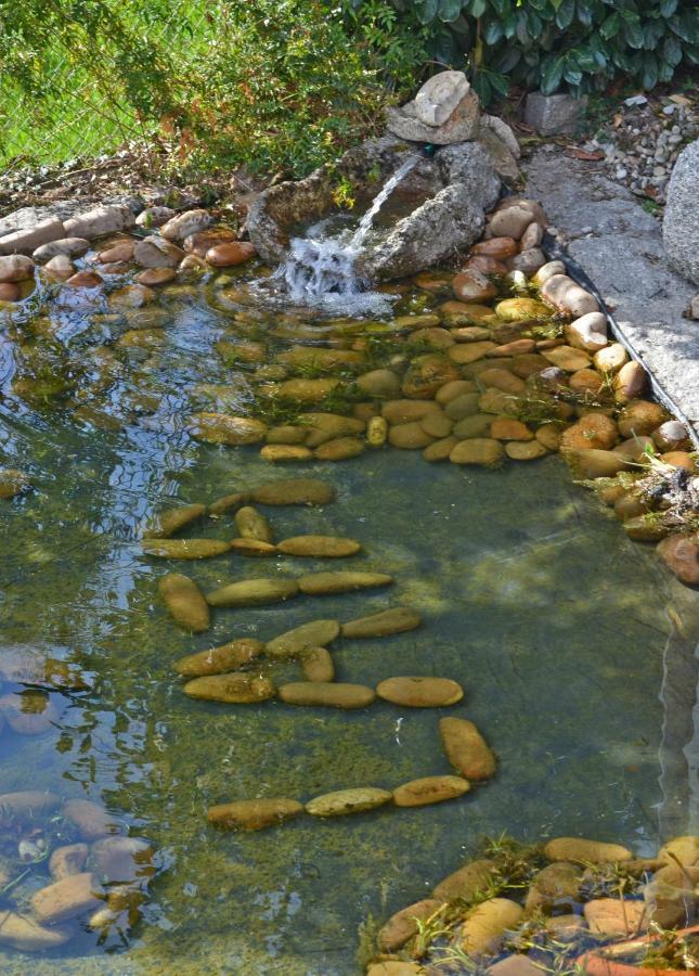 Casa De Campo Sossego Da Lata Fafe Kültér fotó
